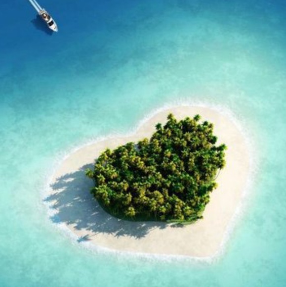 Meet your Posher, Amos - Picture 6 of 8